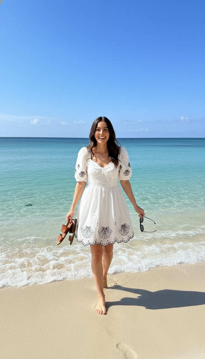 French Connection Cambra embroidered cotton anglaise mini dress in white